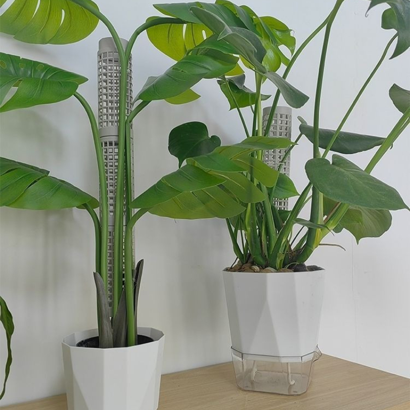 3pcs Plastic Moss Pole, Each 5 - Tree Stand Ladder 评论和价格