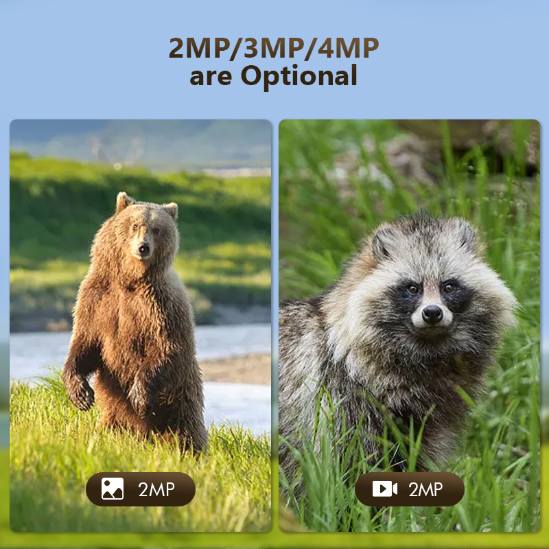 4G 4MP Outdoor Wildlife Huntin - Hunting Outdoor Game 评论和价格